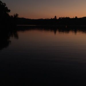 Meet your Posher, Mia